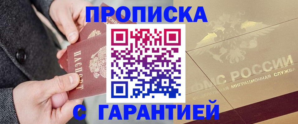 прописка 2025 в Коле